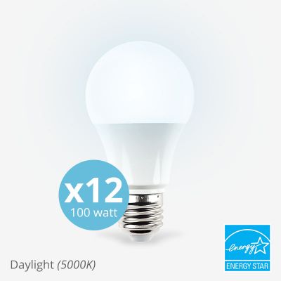 100w equivalent A19 General-Purpose Daylight Dimmable Light Bulb 